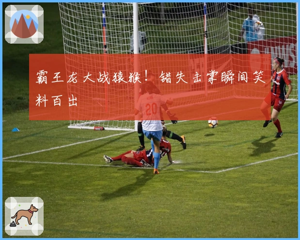 霸王龙大战猿猴！错失击掌瞬间笑料百出